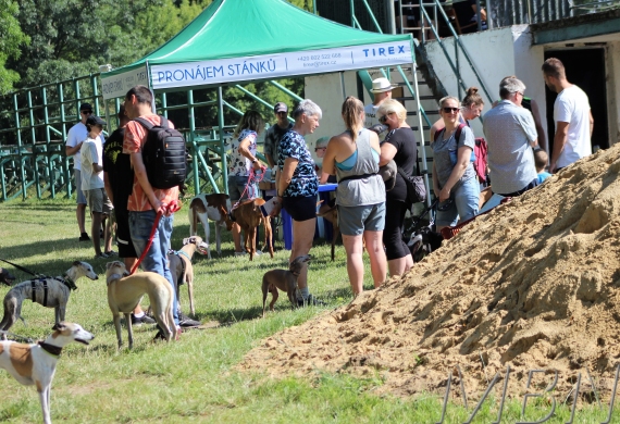 Lednický zajíc 26.6.2022