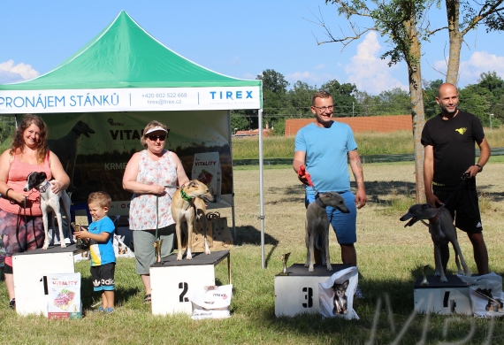 Lednický zajíc 26.6.2022