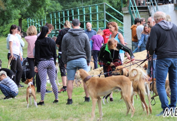 Lednický zajíc 24.6.2023