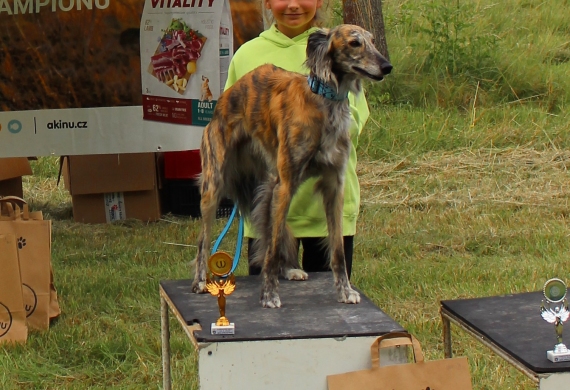 Lednický zajíc 24.6.2023