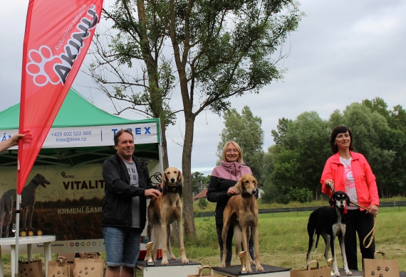 Lednický zajíc 24.6.2023